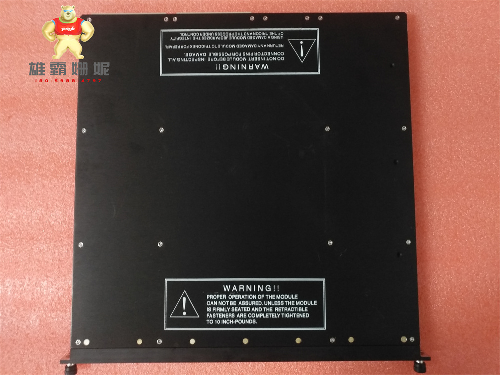 Triconex DCS  3703E 康吉森  通信模块    原厂原装 进口品牌 