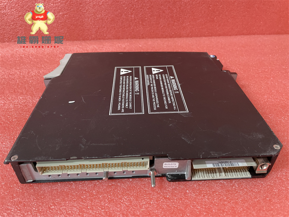 Triconex DCS 4211 康吉森 网络通信模块  原厂原装 进口品牌 