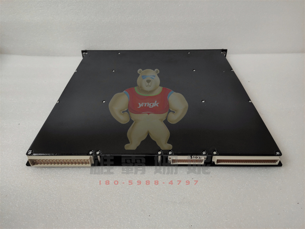 TRICONEX 8110 康吉森 模拟量输入模块 原厂原装