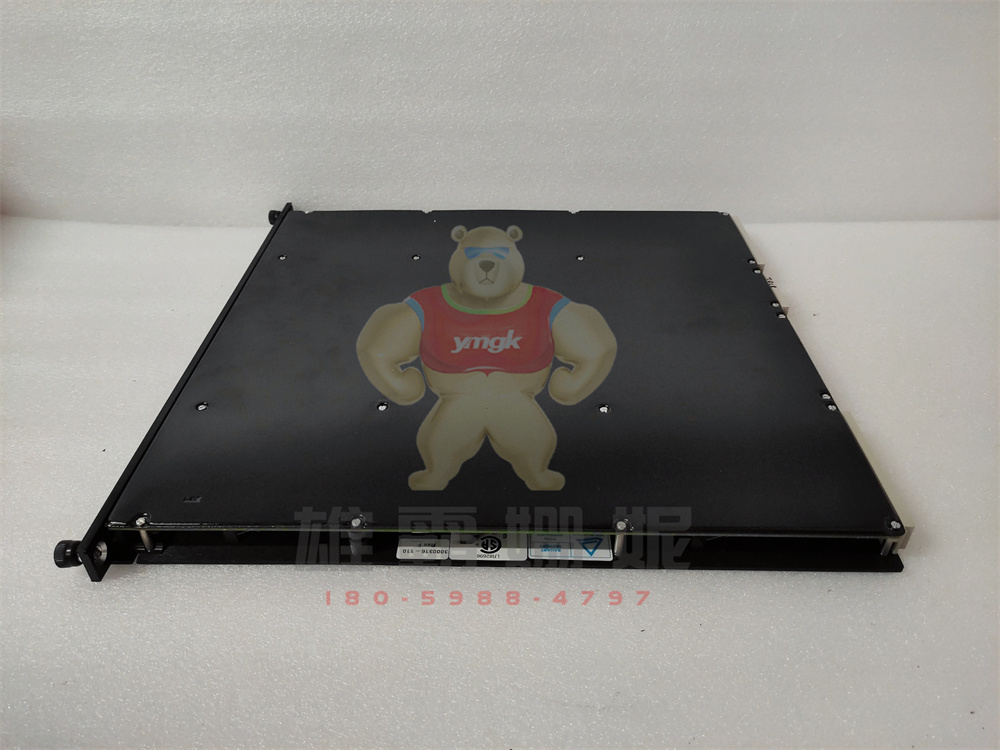 TRICONEX 8110 康吉森 模拟量输入模块 原厂原装