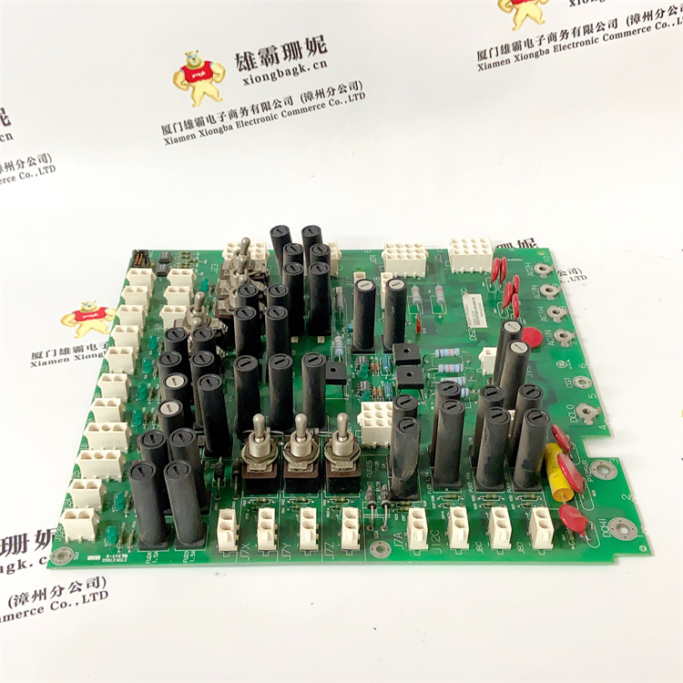 DS200TCPDG2BEC 