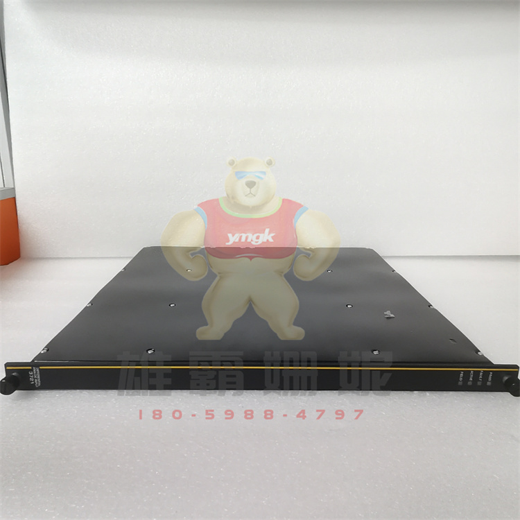 TRICONEX 3721 英维思  编程模块   工业程序 