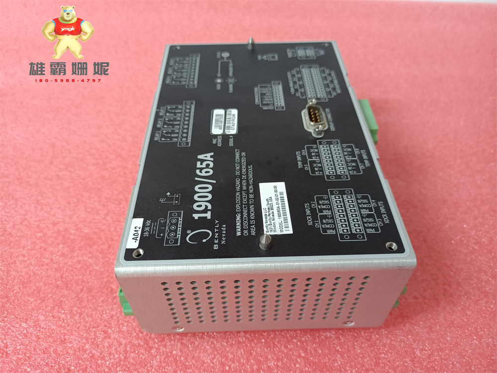 BENTLY 1900/65A-01-02-01-00-00 调速器 探测器 伺服驱动器 
