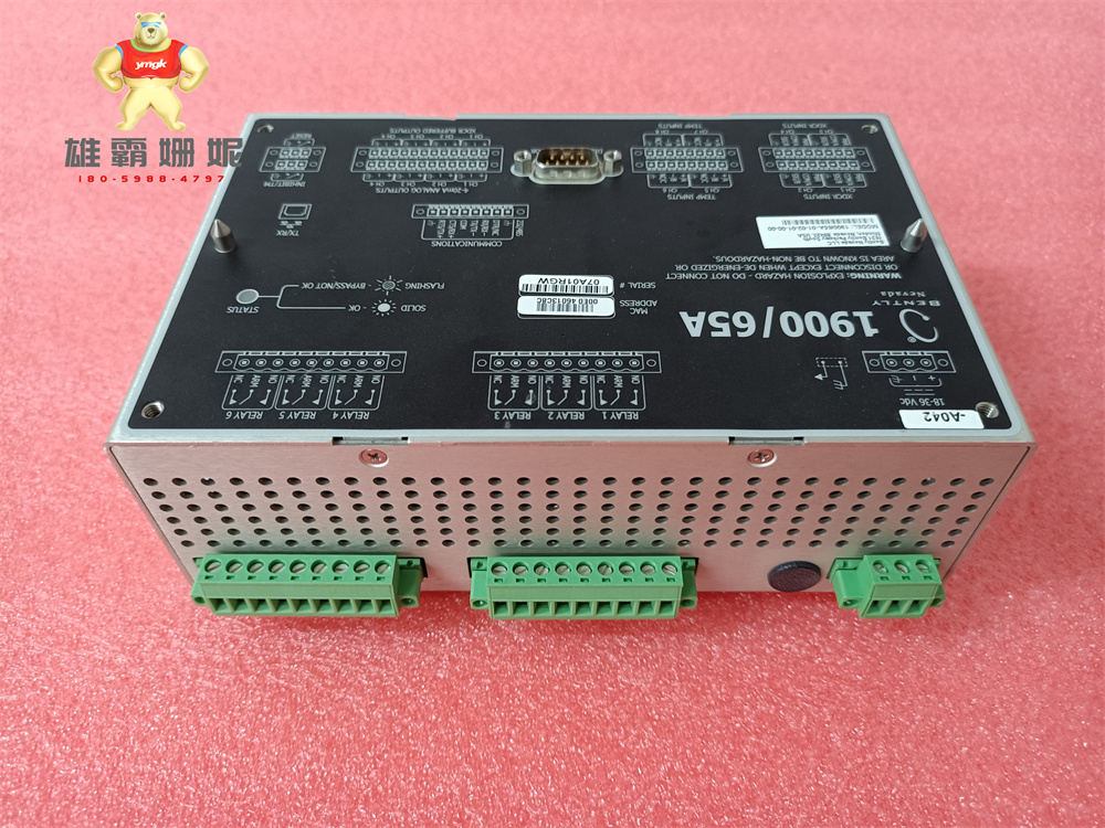 BENTLY 1900/65A-01-02-01-00-00 调速器 探测器 伺服驱动器 