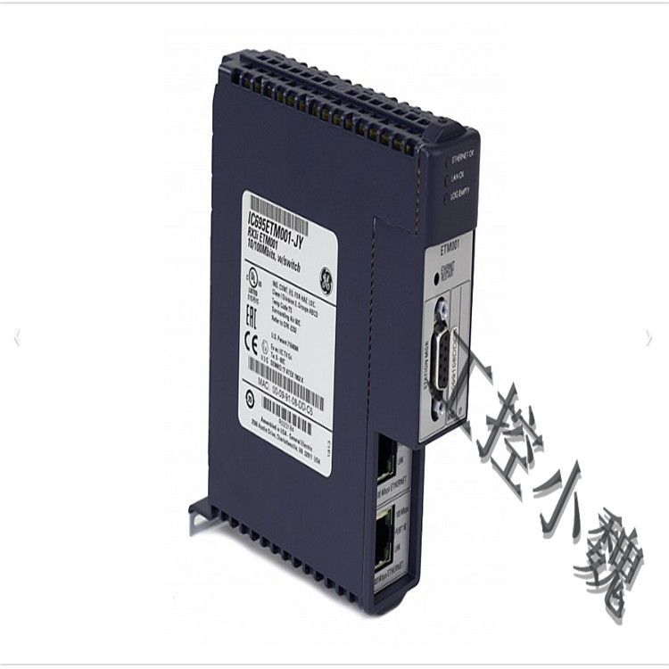 IC695GCG001模拟量收入模块GE 