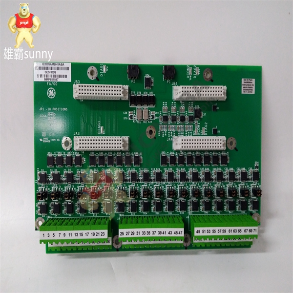 IS200JPDBG1A交流配电模块 MARK VI GENERAL ELECTRIC