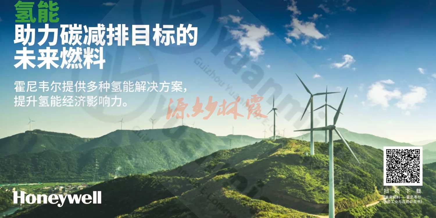 霍尼韦尔honeywell 51303932478控制器 模块 现货 卡件 欧美进口