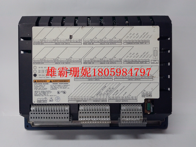 9907-162    数字调速器    2023年新款 