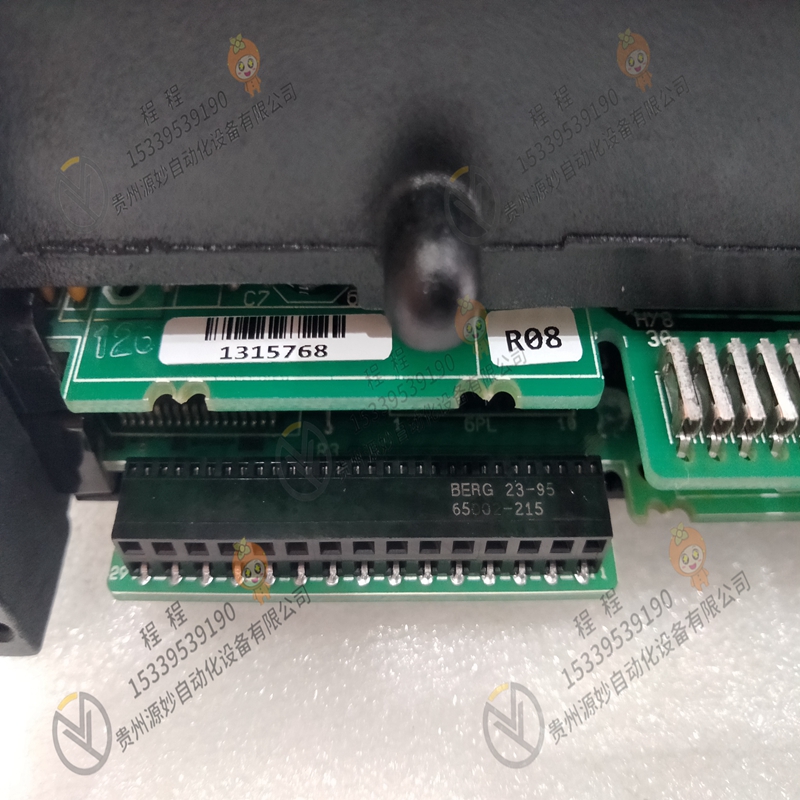 GE 通用电气 IC660EBD101RR