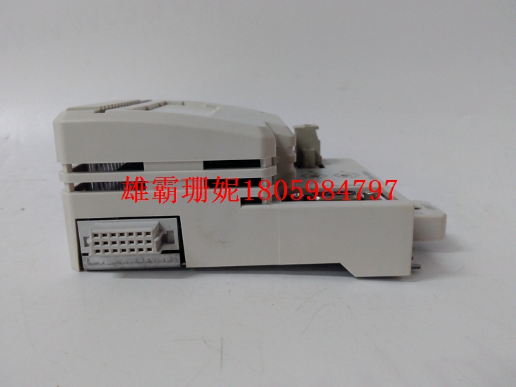 CI801 现场总线接口 2023年新款