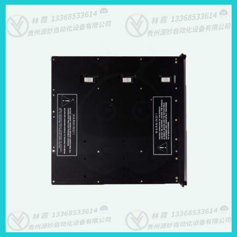 TRICONEX  2481热电偶模拟输入块 温控器 调功器 