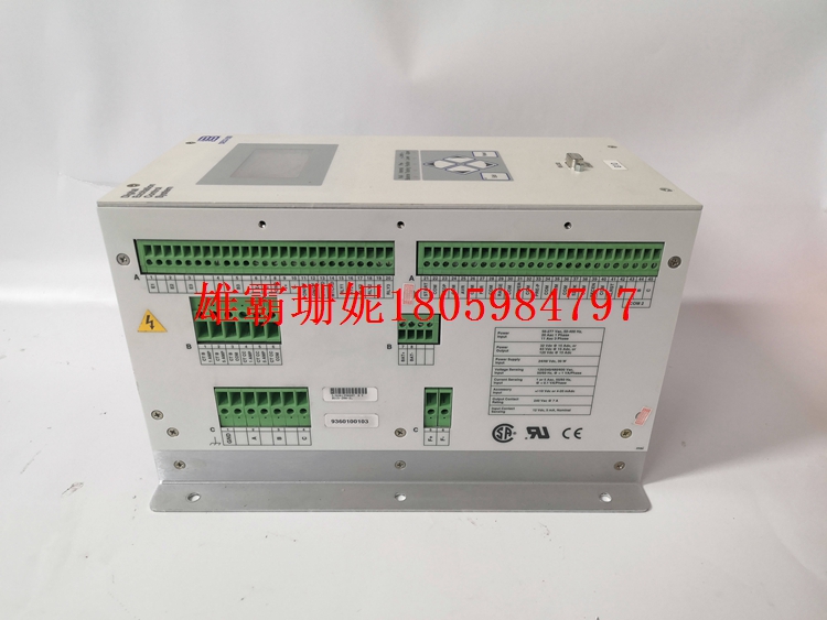 DECS-200-2L 数字式自动励磁调节器 爆价出击 让你躲无可躲