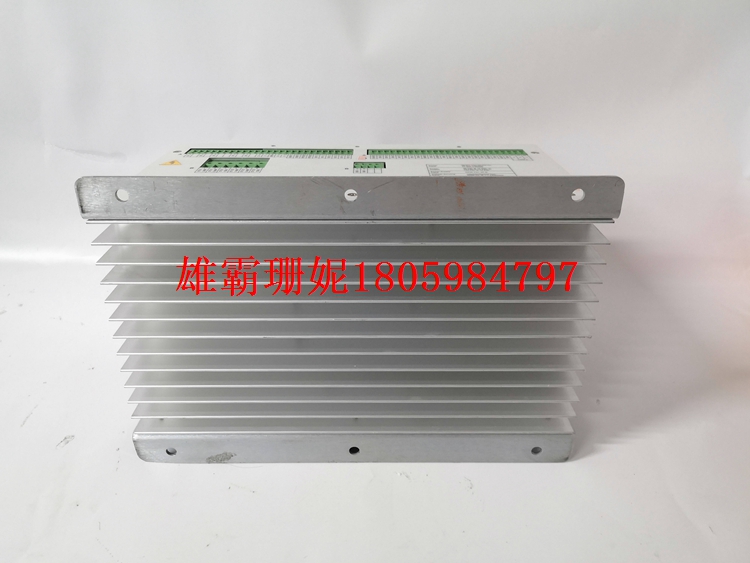 DECS-200-2L 数字式自动励磁调节器 爆价出击 让你躲无可躲