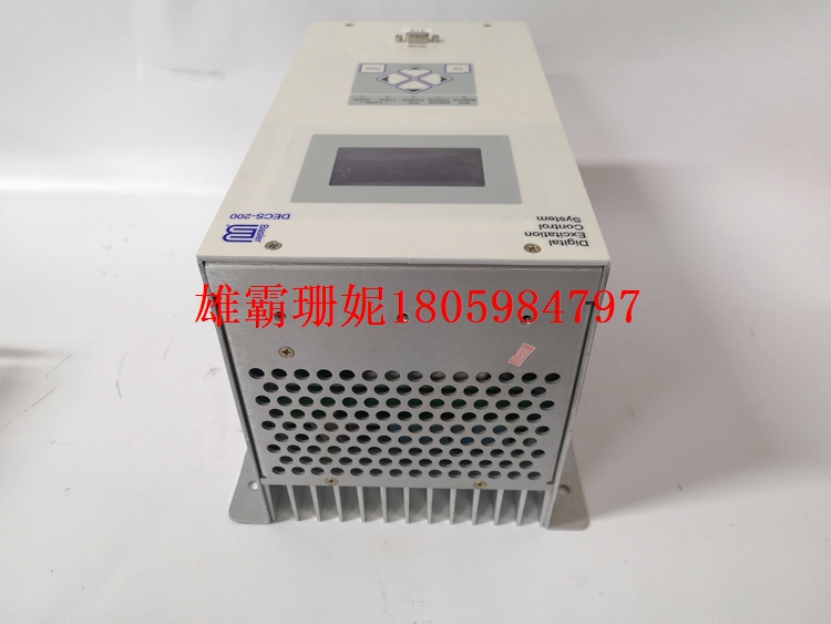 DECS-200-2L 数字式自动励磁调节器 爆价出击 让你躲无可躲