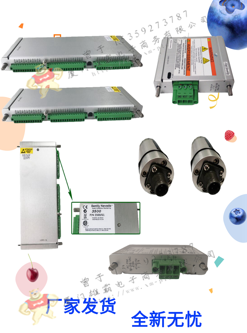Bently-本特利 3500/65 温度监测通道
