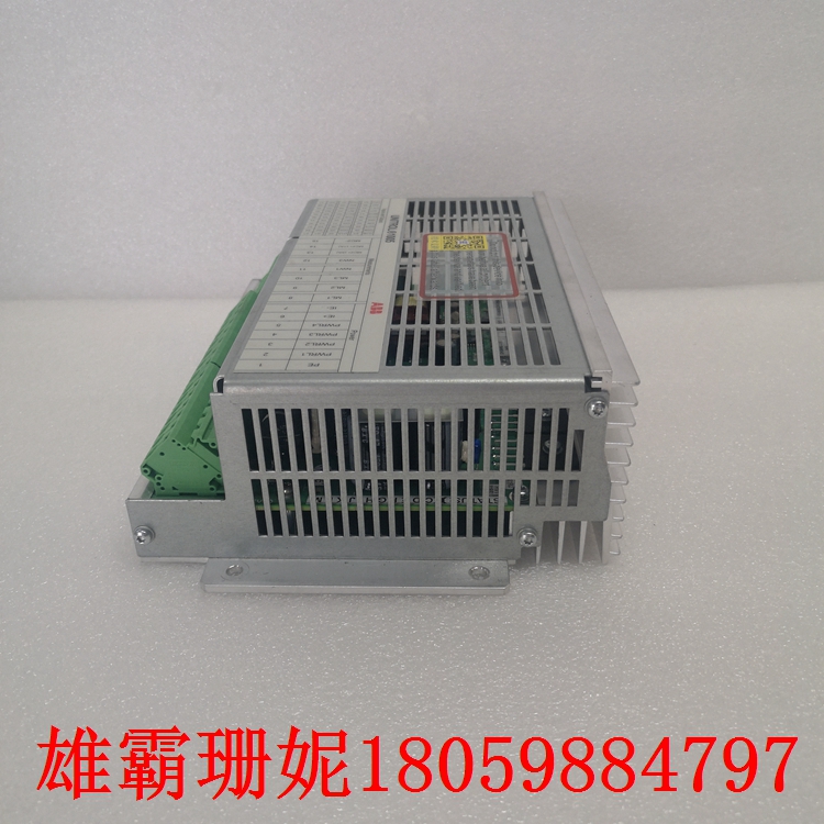 UNITROL 1005-0011 ECO 数字自动电压调节器 国际上的发展