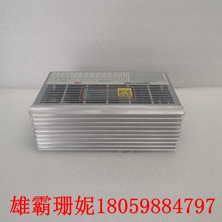 UNITROL 1005-0011 ECO 数字自动电压调节器 国际上的发展