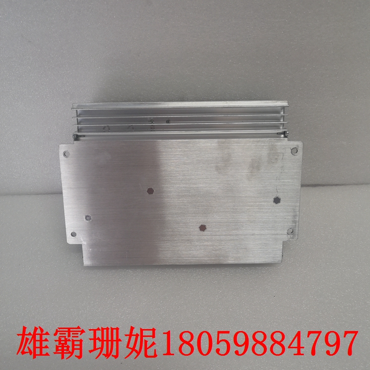 UNITROL 1005-0011 ECO 数字自动电压调节器 国际上的发展