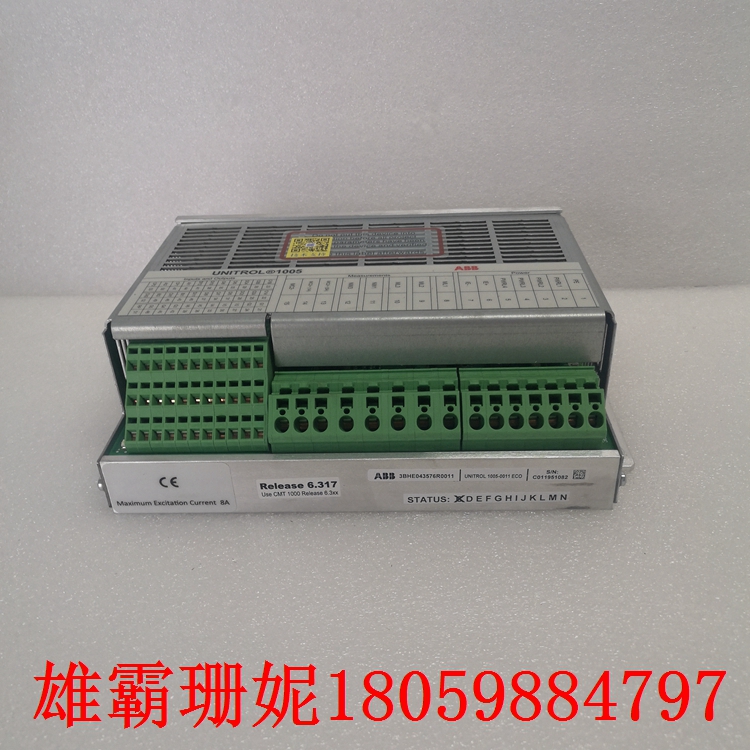 UNITROL 1005-0011 ECO 数字自动电压调节器 国际上的发展