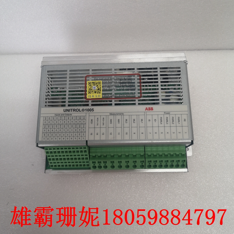 UNITROL 1005-0011 ECO 数字自动电压调节器 国际上的发展