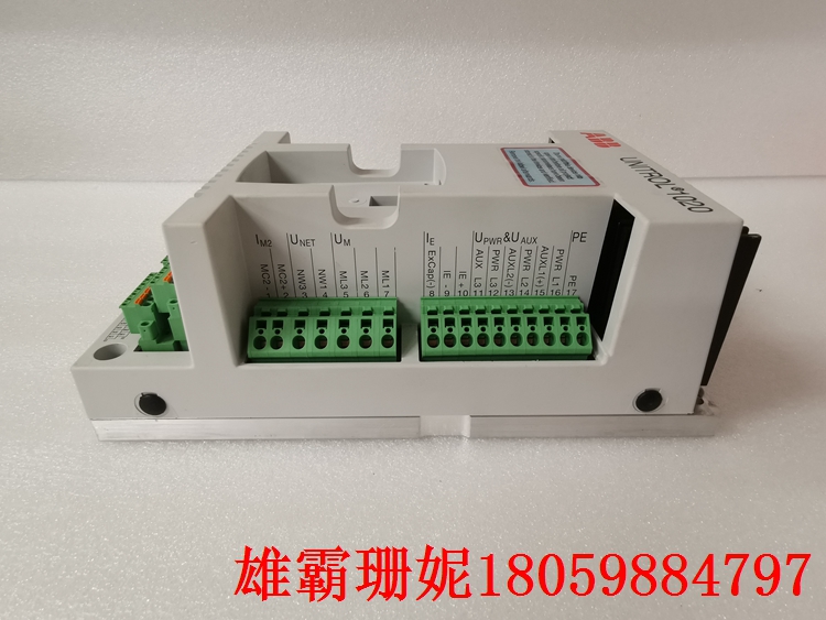 3BHE030579R0003 间接励磁系统 国际上的发展