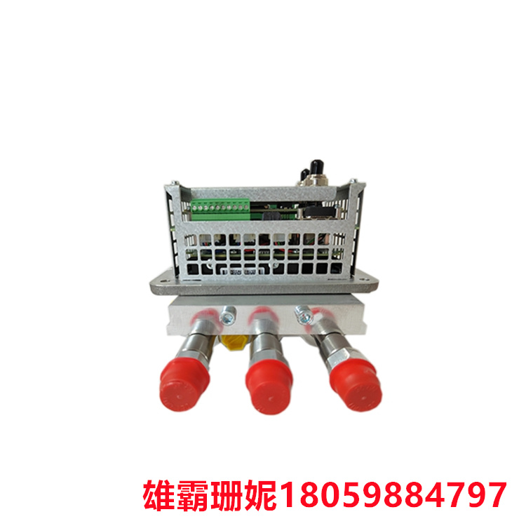 3HNA024871-001 机器人喷漆 大规模生产线的流程控制