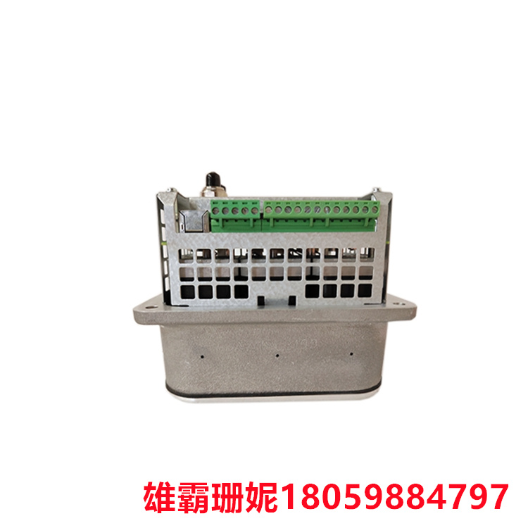 3HNA024871-001 机器人喷漆 大规模生产线的流程控制