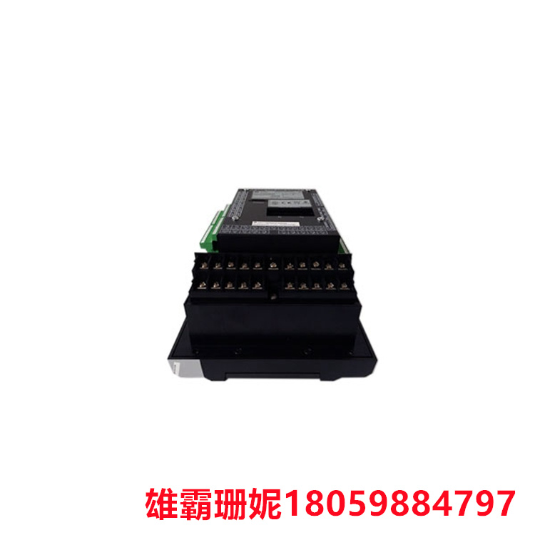 369-LO-0-M-F-E-0-0  电机管理继电器 自动化软件对其代码库进行了重要更新 