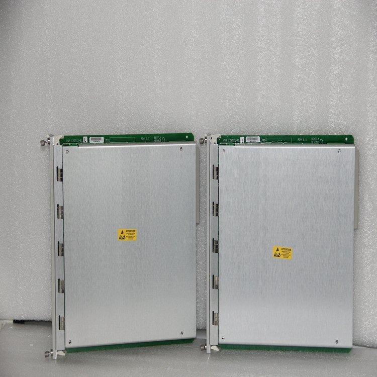 BENTLY NEVADA 103928-01 模块