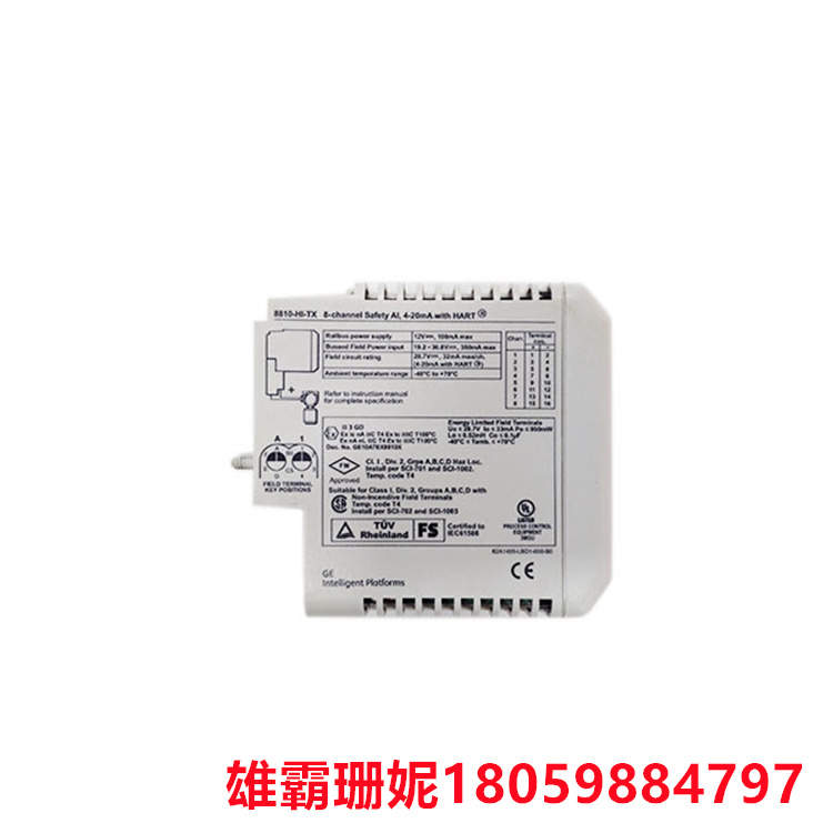 8810-HI-TX   8通道安全模拟输入  可承受转轴的振动或者冲击 