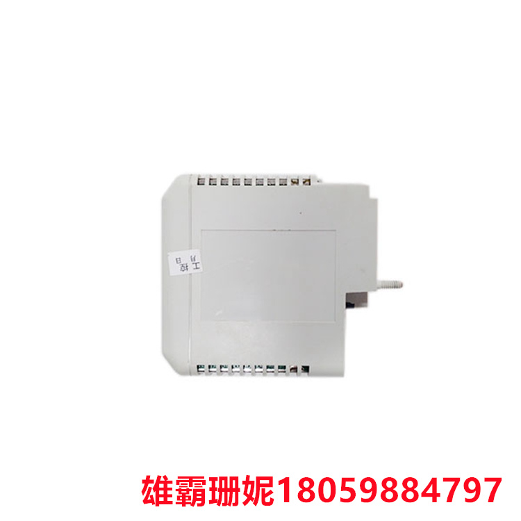 8810-HI-TX   8通道安全模拟输入  可承受转轴的振动或者冲击 