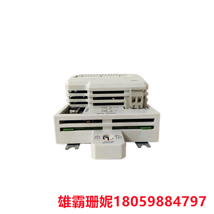 CI801 通讯模块 壁挂式变送器