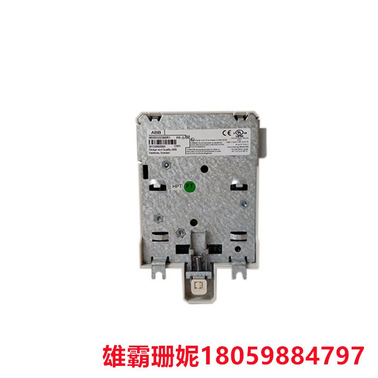 CI801 通讯模块 壁挂式变送器