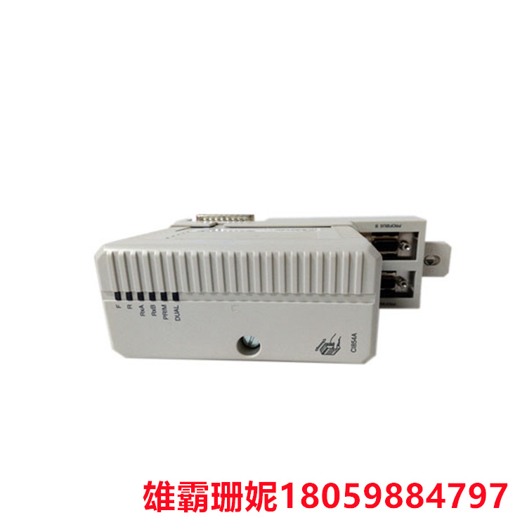 CI854A 通信接口模块 壁挂式变送器