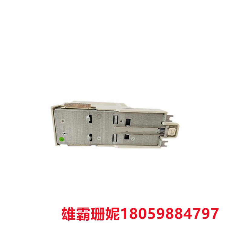 CI855K01   以太网口接口    壁挂式变送器 