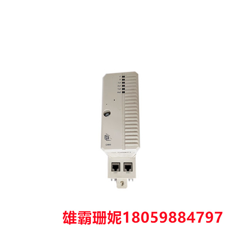 CI855K01   以太网口接口    壁挂式变送器 
