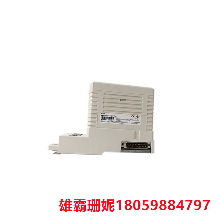 CI855K01   以太网口接口    壁挂式变送器 