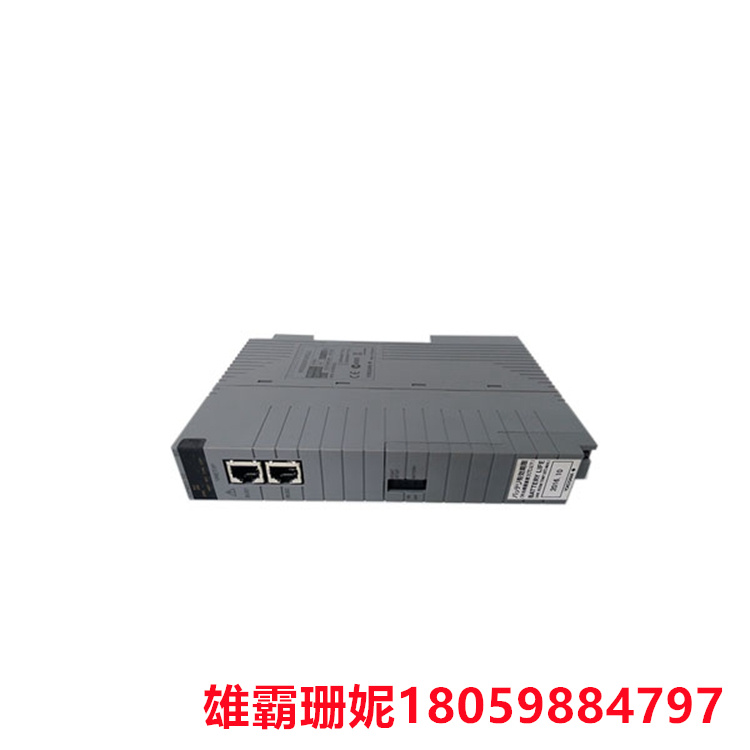 CP450-T-ETH 电热阻输入模块 湿度变送器样品用于测试