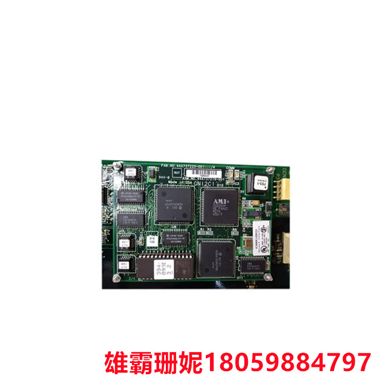 DS200ADGIH1AAA   辅助接口板   满足其应用需求 
