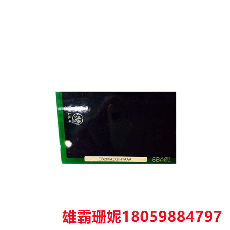 DS200ADGIH1AAA   辅助接口板   满足其应用需求 