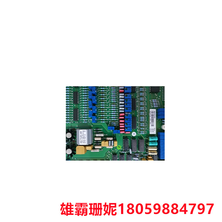 DSAI130D 模拟输入板 专用材质的承印物