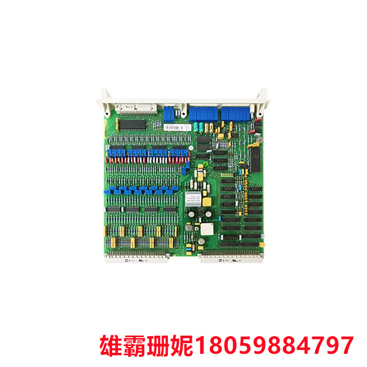 DSAI130D 模拟输入板 专用材质的承印物