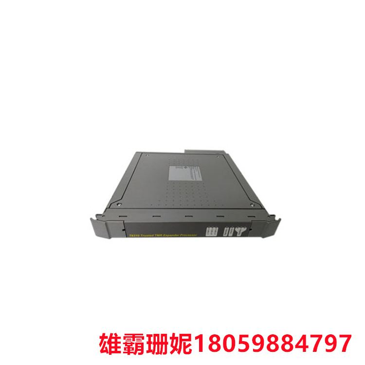 T8310  可信TMR扩展器接口   识别过程的高可靠性 