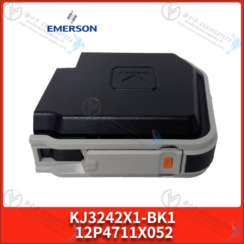 Emerson-艾默生   KJ1501X1-BC1    DeltaV 离散输入 