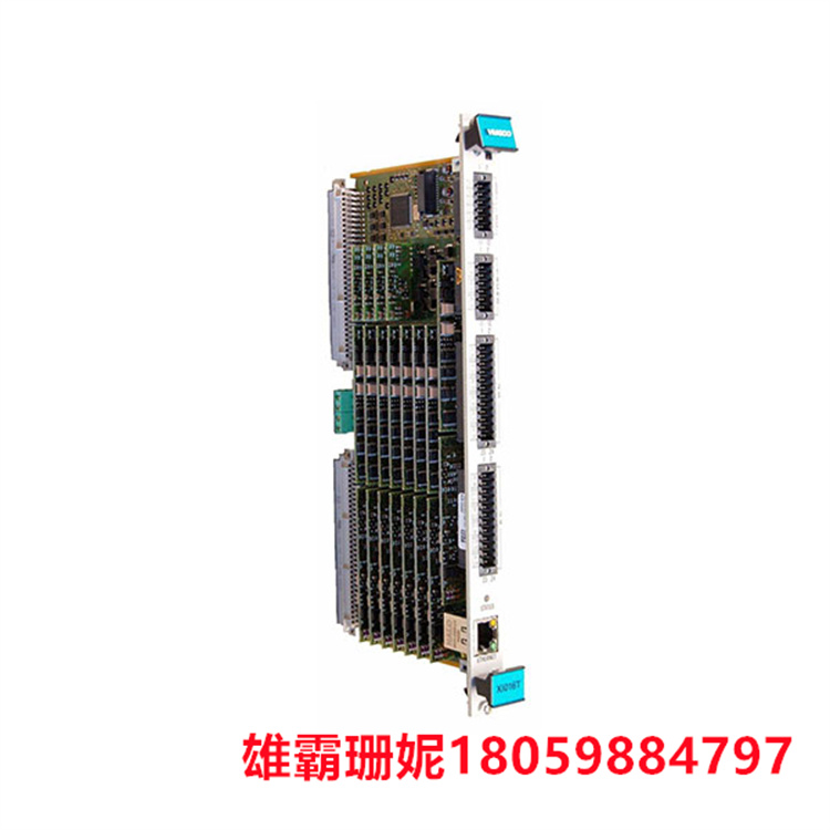 VM600 CPUM 595-031-111  模块化CPU卡振动计   监测并补充水量 