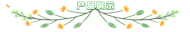 FOXBORO-福克斯波罗   FBM12   控制器 