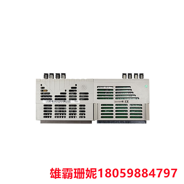 VE4050S2K1C0  带载体屏蔽条的I/O接口载体    使用DetaV水平安装/O托架 