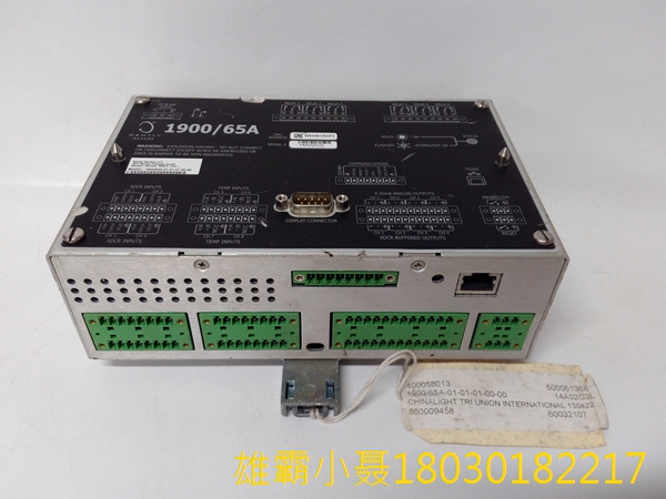 本特利内华达 1900/65A 通用设备监视器 
