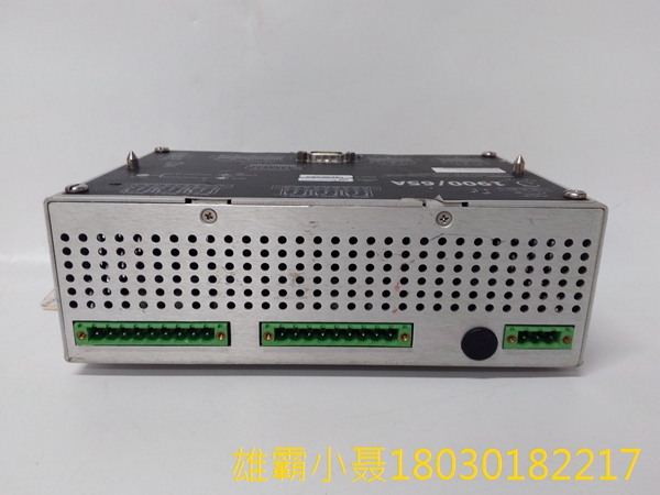 本特利内华达 1900/65A 通用设备监视器 