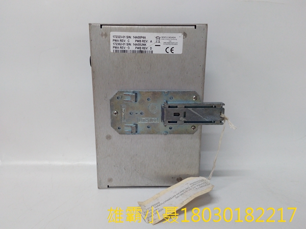 本特利内华达 1900/65A 通用设备监视器 